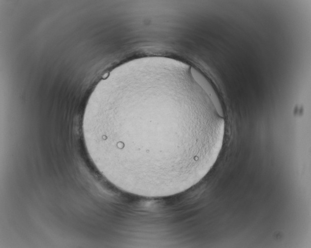 X0000111800117200909031238