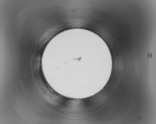 X0000111800118200909031238
