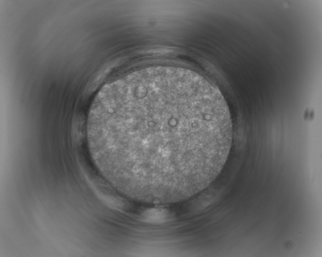 X0000111800119200909031238