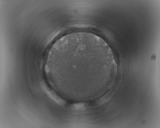 X0000111800120200909031238