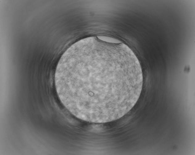 X0000111800121200909031238