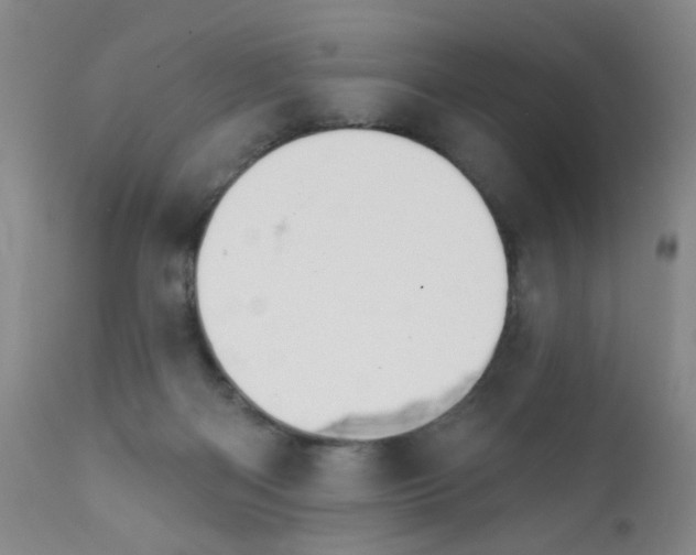 X0000111800122200909031238