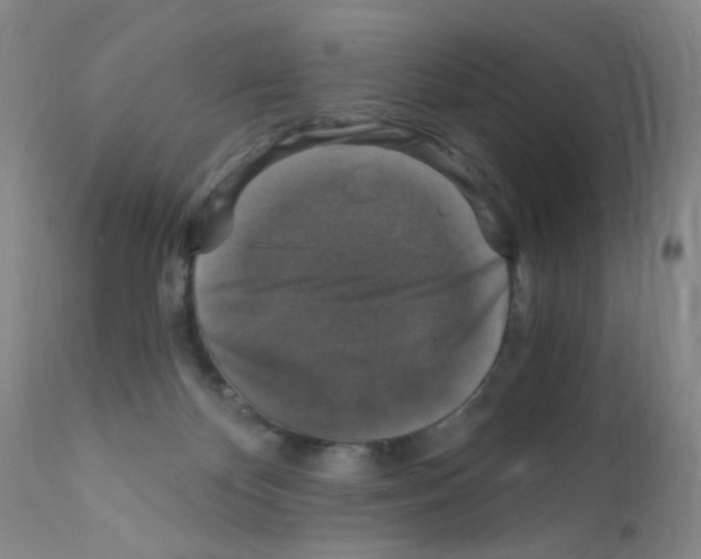X0000111800124200909031238