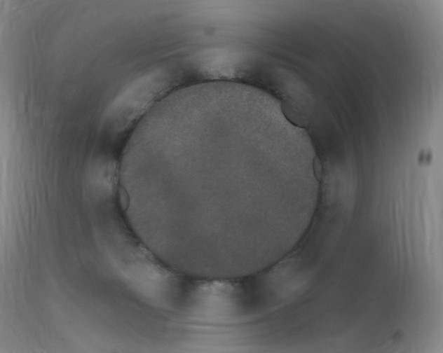 X0000111800125200909031238