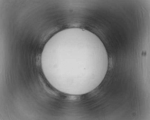 X0000111800126200909031238