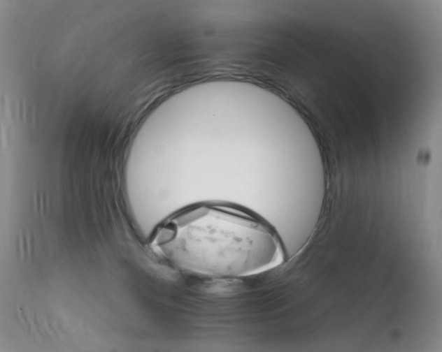X0000111800128200909031238