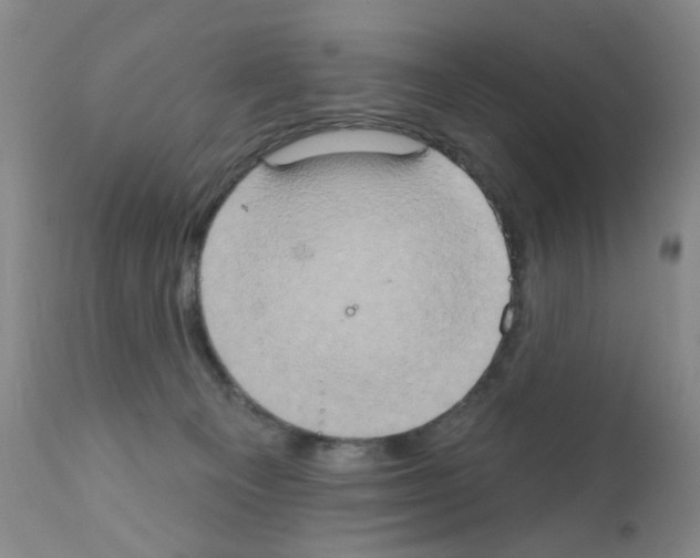 X0000111800129200909031238