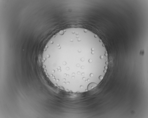 X0000111800130200909031238