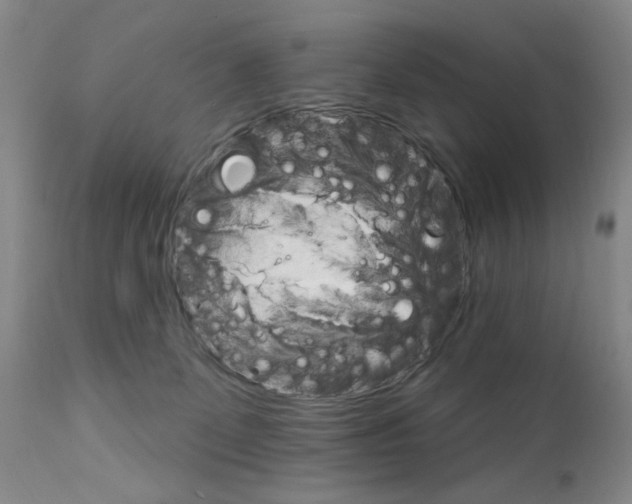 X0000111800131200909031238