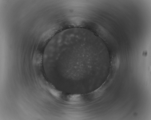 X0000111800132200909031238