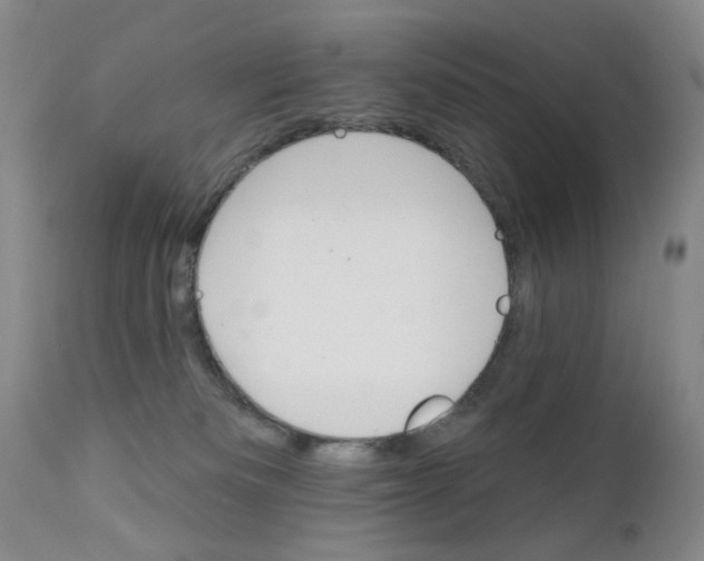 X0000111800133200909031238
