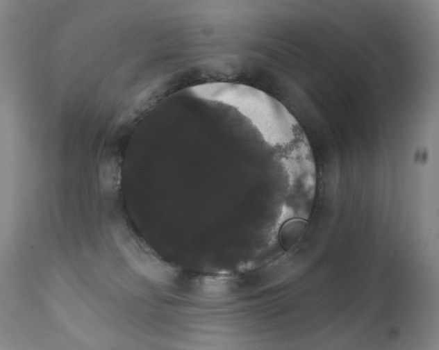 X0000111800134200909031238