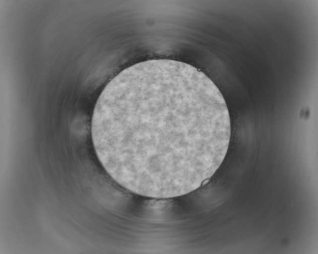 X0000111800135200909031238