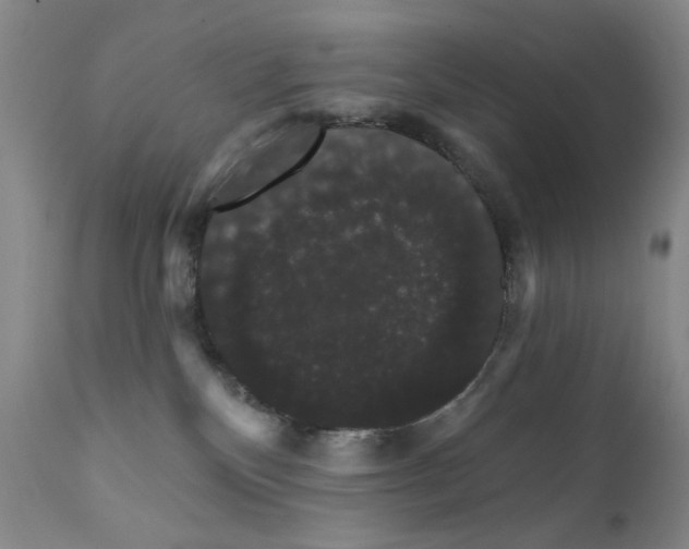 X0000111800136200909031238