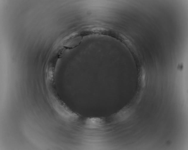 X0000111800137200909031238