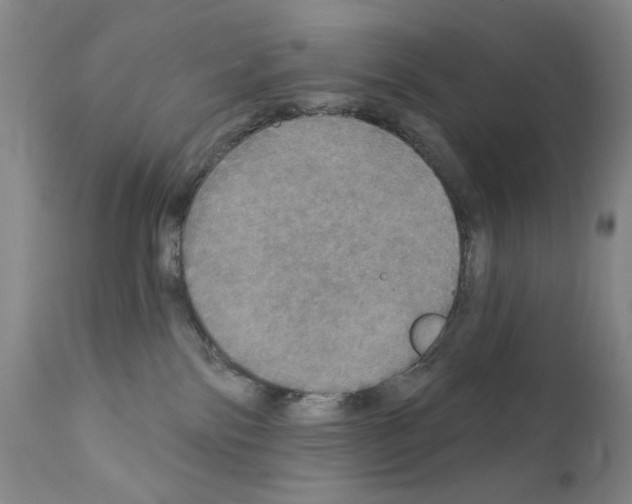 X0000111800138200909031238