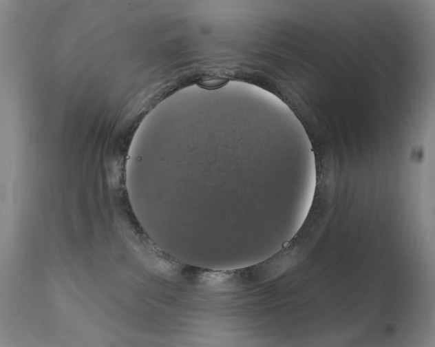X0000111800139200909031238