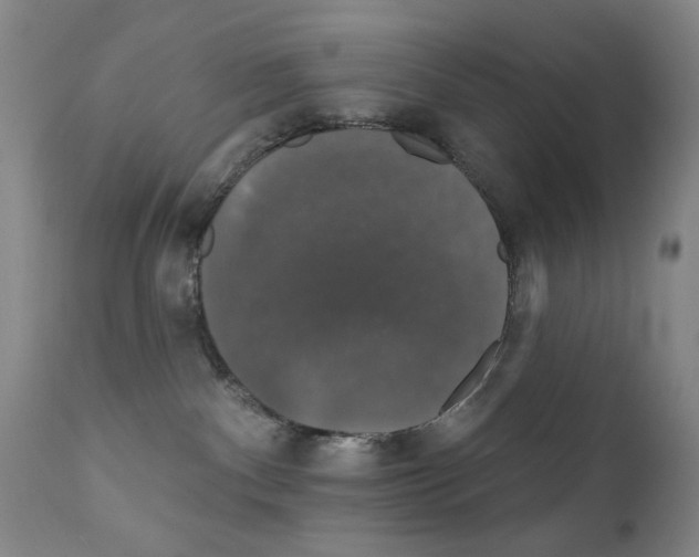 X0000111800140200909031238