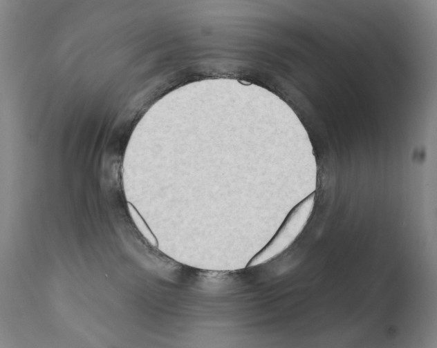 X0000111800141200909031238