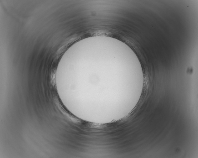 X0000111800142200909031238