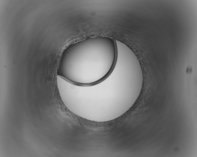 X0000111800144200909031237