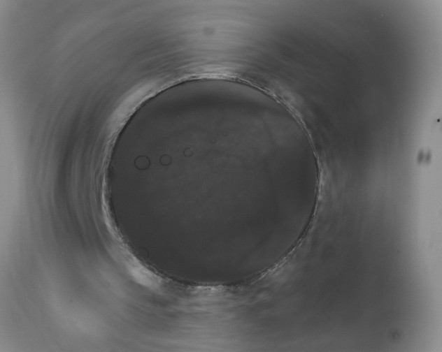 X0000111800145200909031237