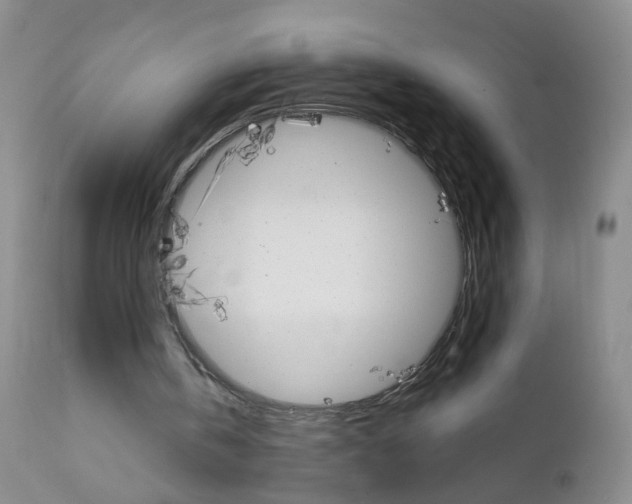 X0000111800146200909031237