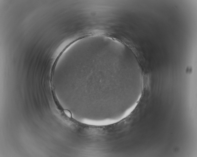 X0000111800147200909031237