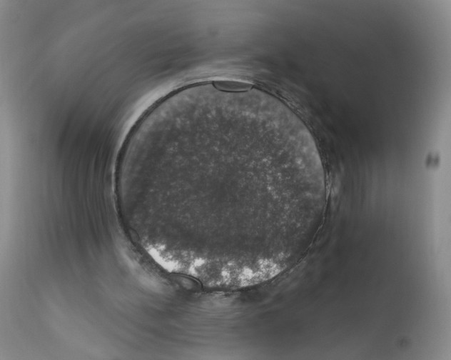 X0000111800148200909031237