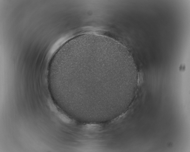 X0000111800150200909031237