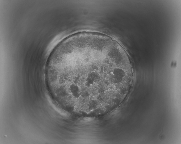 X0000111800151200909031237