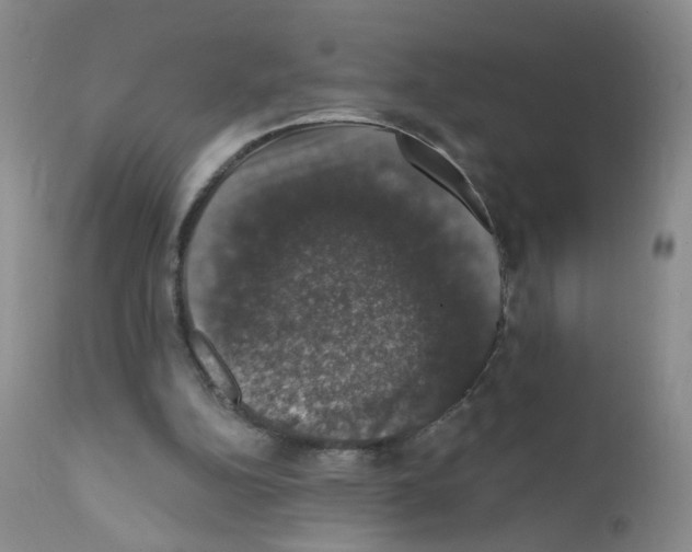 X0000111800152200909031237