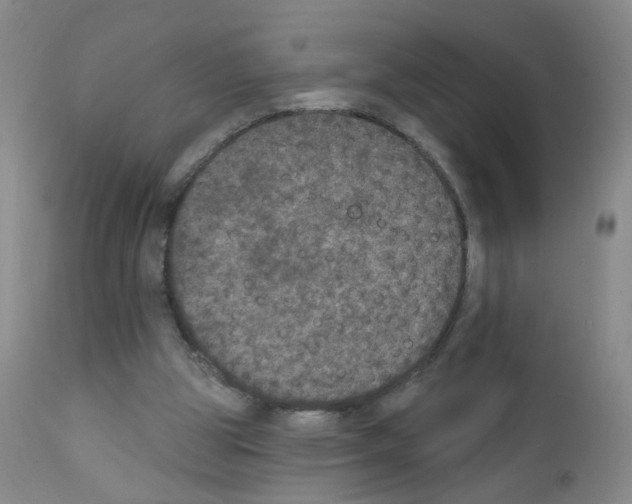 X0000111800153200909031237