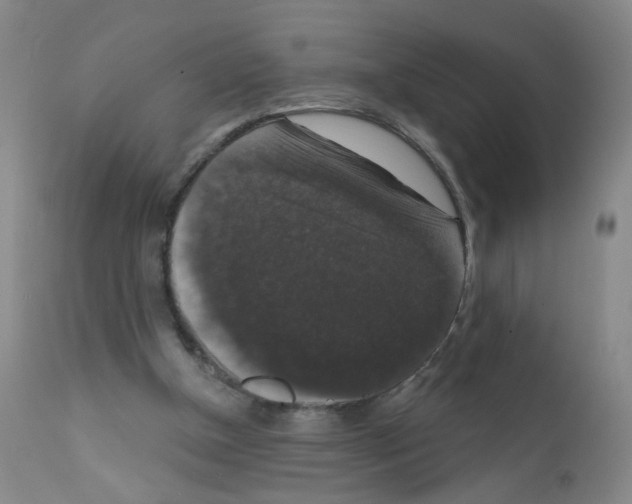 X0000111800154200909031237