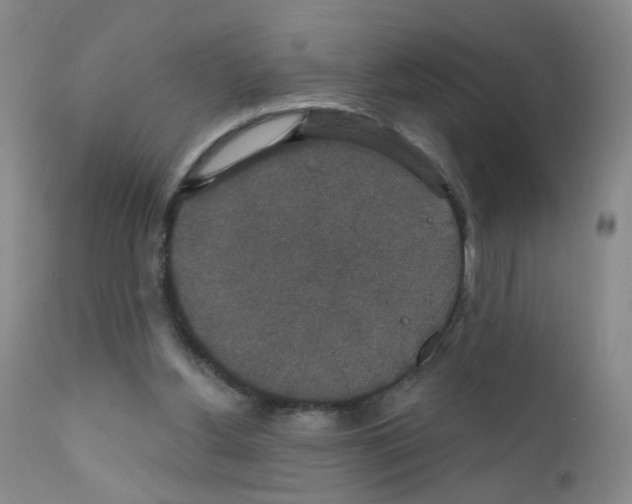 X0000111800156200909031237