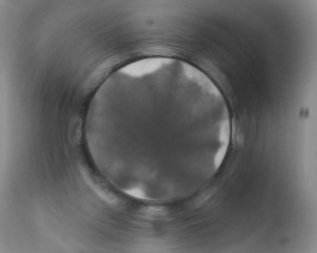 X0000111800157200909031237