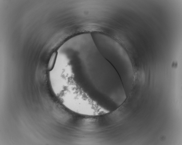 X0000111800158200909031237