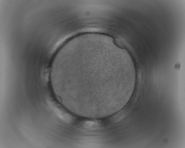 X0000111800160200909031237