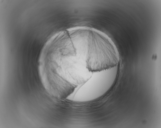 X0000111800161200909031237