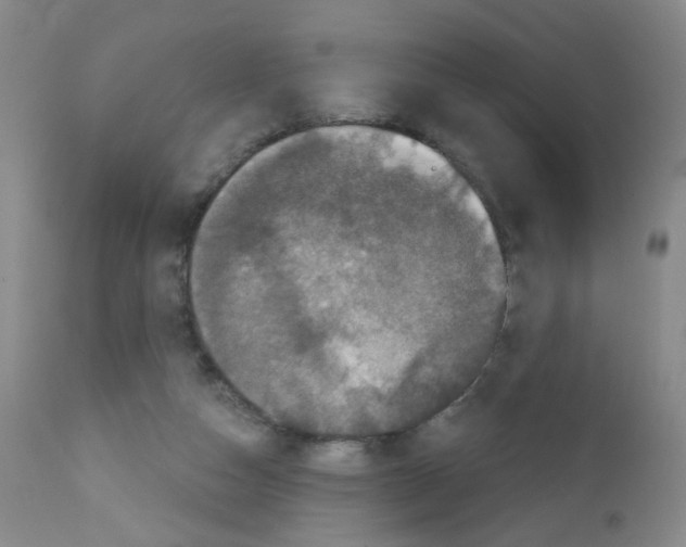 X0000111800162200909031237