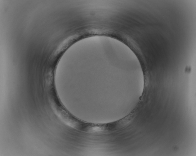 X0000111800163200909031237