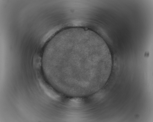 X0000111800164200909031237