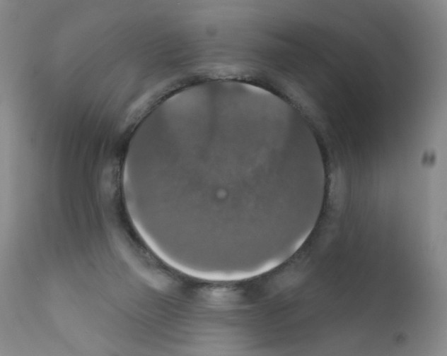 X0000111800165200909031237