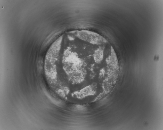 X0000111800166200909031237
