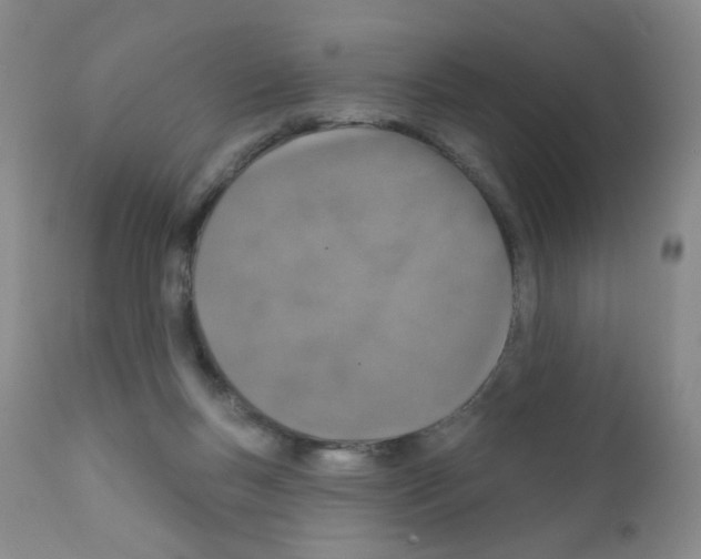 X0000111800167200909031237