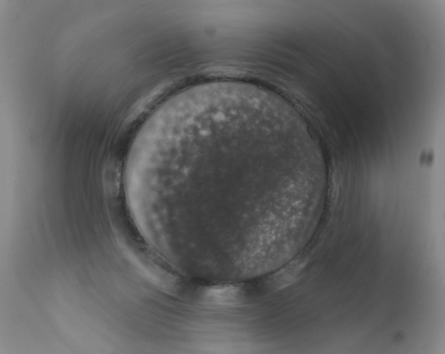 X0000111800168200909031237