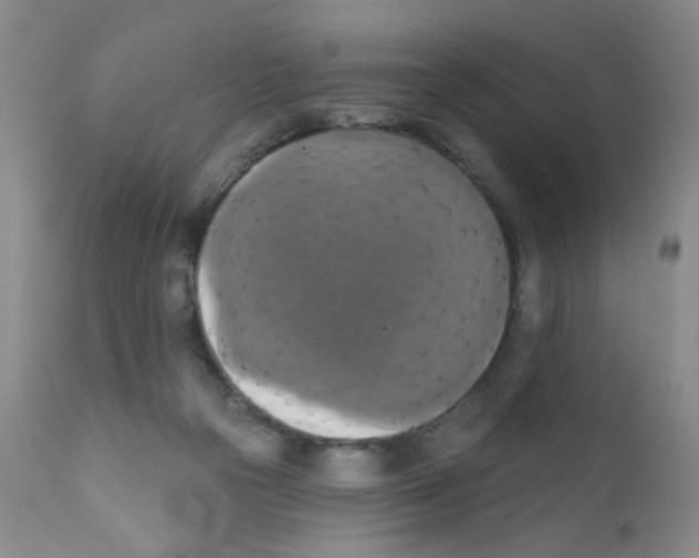 X0000111800169200909031237