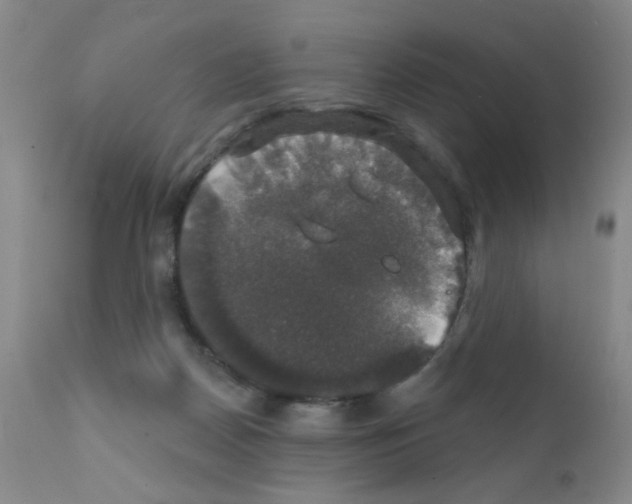 X0000111800170200909031237
