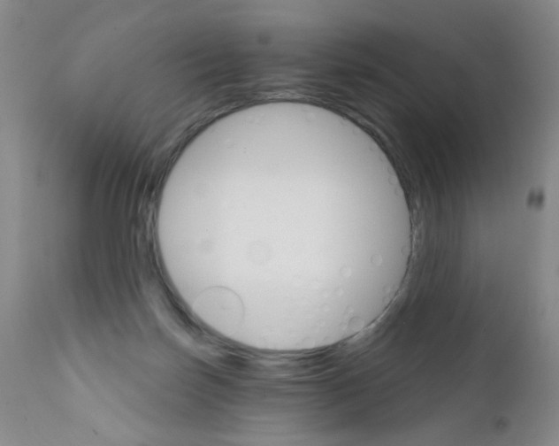 X0000111800171200909031237