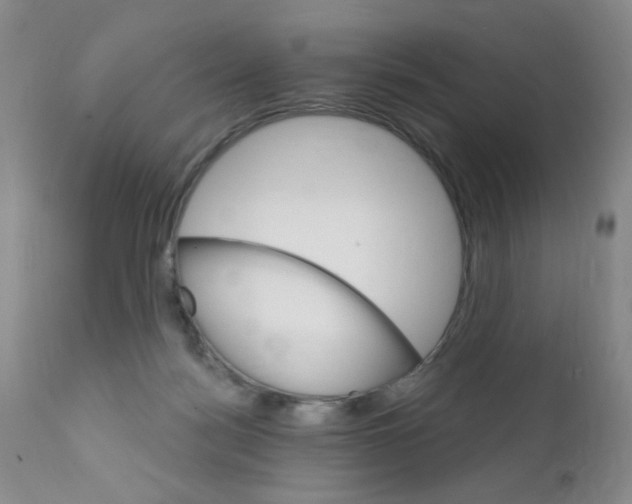 X0000111800172200909031237